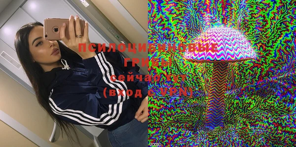 стафф Абинск