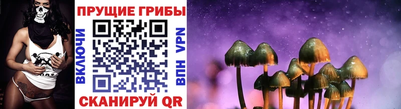 МЕГА рабочий сайт  как найти закладки  Звенигород  Галлюциногенные грибы мицелий 