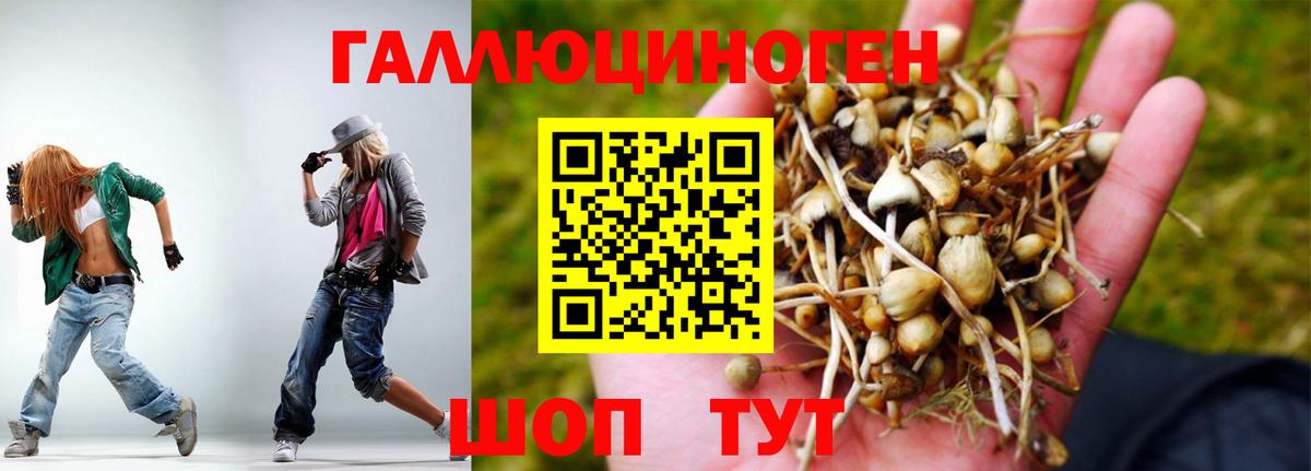 Галлюциногенные грибы GOLDEN TEACHER Звенигород