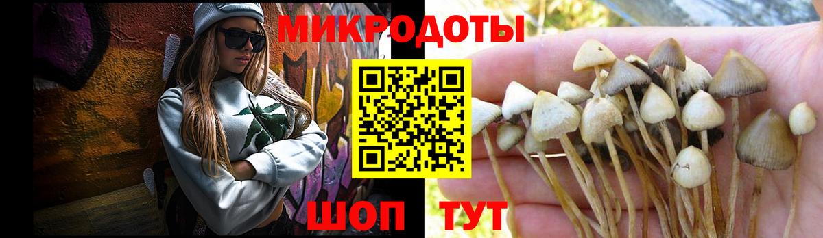 Псилоцибиновые грибы GOLDEN TEACHER  Вход с VPN  Звенигород  Галлюциногенные грибы Psilocybe 